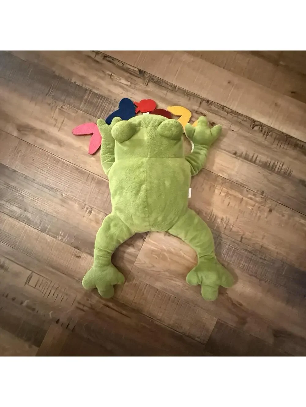 Kiwi‎ Co Froggie Lab Dissection Plush Toy 17x11x4